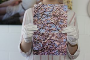 Lab staff holding print of cherry blossoms on kodak professional gloss paper