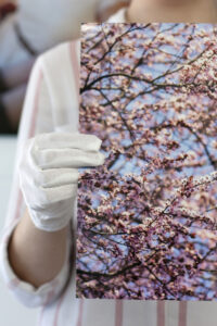 Lab staff holding print of cherry blossoms on kodak professional gloss paper