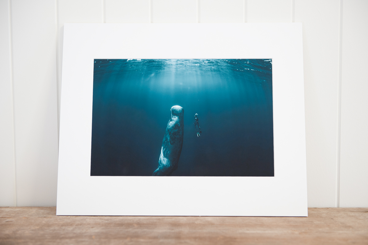 Fine art image of a diver and a whale on smooth matt rag photo paper with a custom white matt leaning against a wall on a wooden shelf