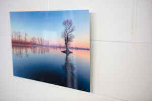 Aluminium print of a tree reflection in a lake hanging with a floating effect on a white brick wall