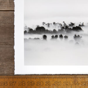 Corner of a black and white fine art print with a white border and torn edge
