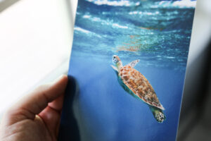 Hang holding an image printed of a turtle under the sea by a window on metallic photo paper