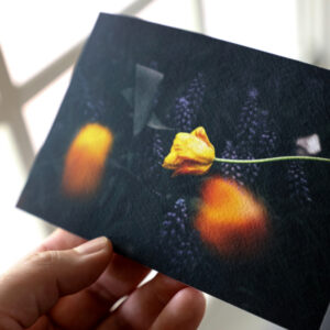 Hand holding a print of a yellow tuplip with dark background printed on heavily textured canson aquarelle rag paper lit by window